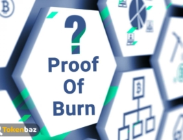 الگوریتم اثبات سوزاندن (Proof Of Burn) چیست؟
