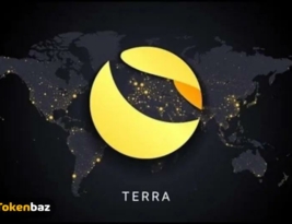 ماجرای Luna پایانی ندارد؛ دوکوان یک ماه پیش از سقوط لونا، 80 میلیون دلار به کیف پول خود انتقال داده بود!