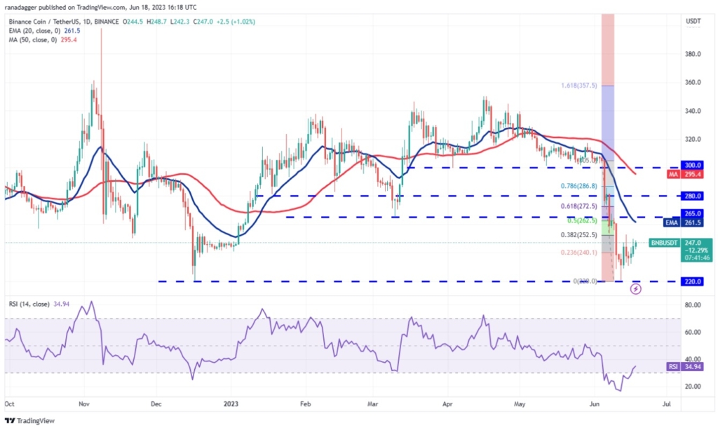 نمودار قیمت بایننس کوین در تایم فریم روزانه