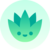 agave