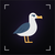 albatross protocol