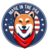 american shiba