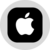 apple (ondo tokenized stock)