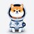 asteroid shiba