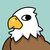 bald eagle