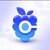 berry finance