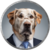 big dog fink