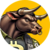 bitcoin bull