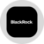 blackrock, inc. (ondo tokenized stock)