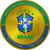 brazil national football team fan token
