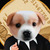 business coin
