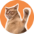 catslap