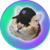 catsolhat