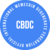 central bank digital currency memecoin