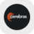 cerebras systems rstock