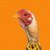 chickenbanana