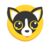 chihuahua chain