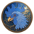 cockcardano