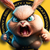 crazy bunny
