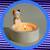 cute cat candle