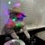 djcat
