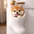 dog in sock