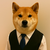 dog in vest