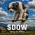 dog on wire