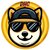 doge head coin