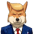 dt inu