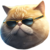 fat cat
