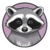first convicted raccon