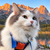 gary the cat