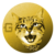 ginnan doge's brother