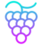 grape protocol