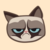 grumpy cat coin