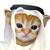 habibi (sol)