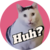 huh cat