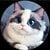 huhu cat