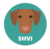 hungarian vizsla inu