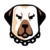kangal