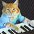 keyboard cat (base)
