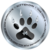 kittekoin