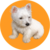 lilybux