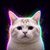 longcat