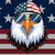 made in america