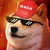 maga doge