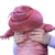 magaiba