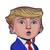 mini donald