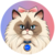 mrs miggles